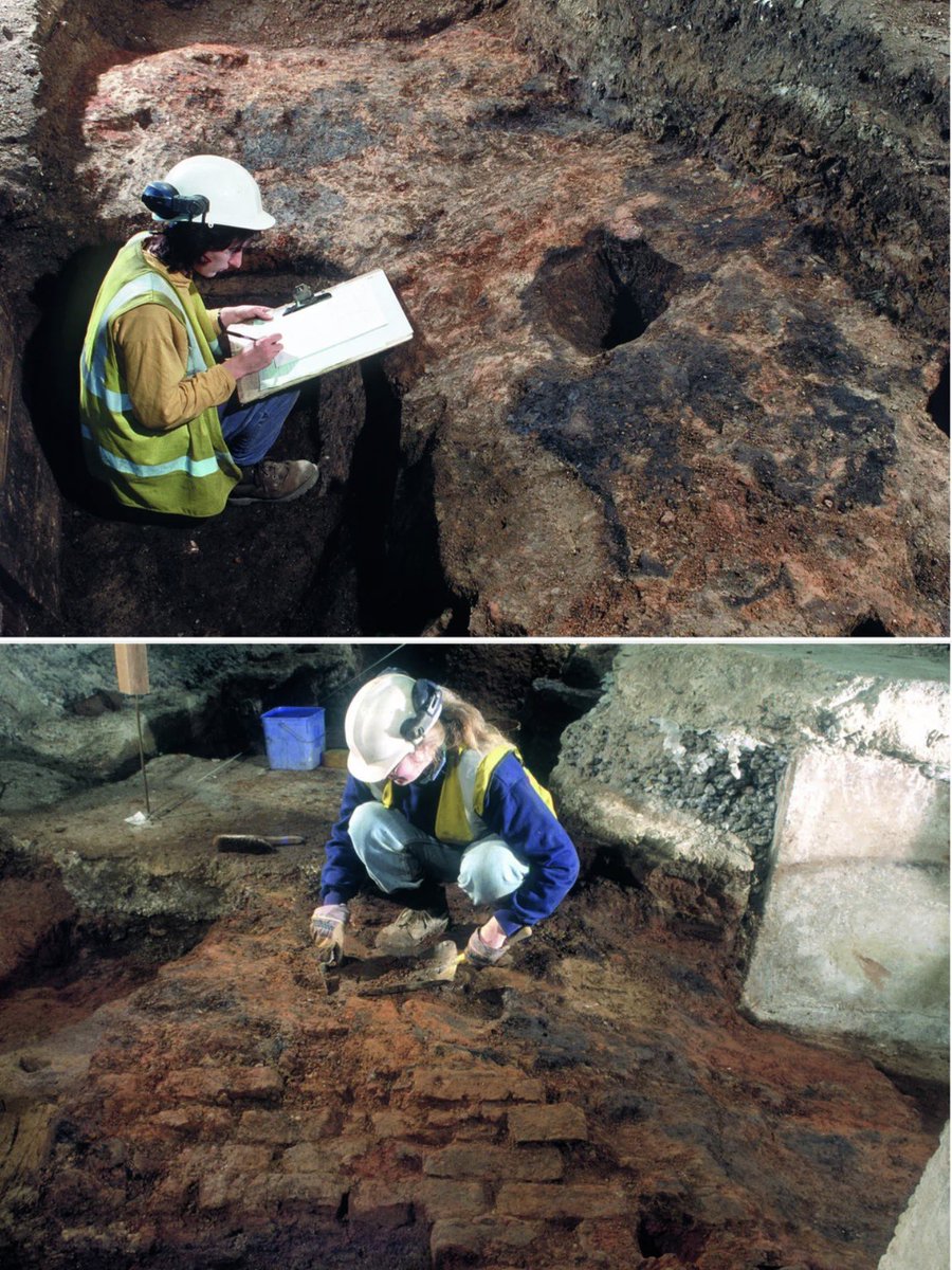 🏛 𝐒𝐭𝐞𝐯𝐞𝐧 🏛 tweet media