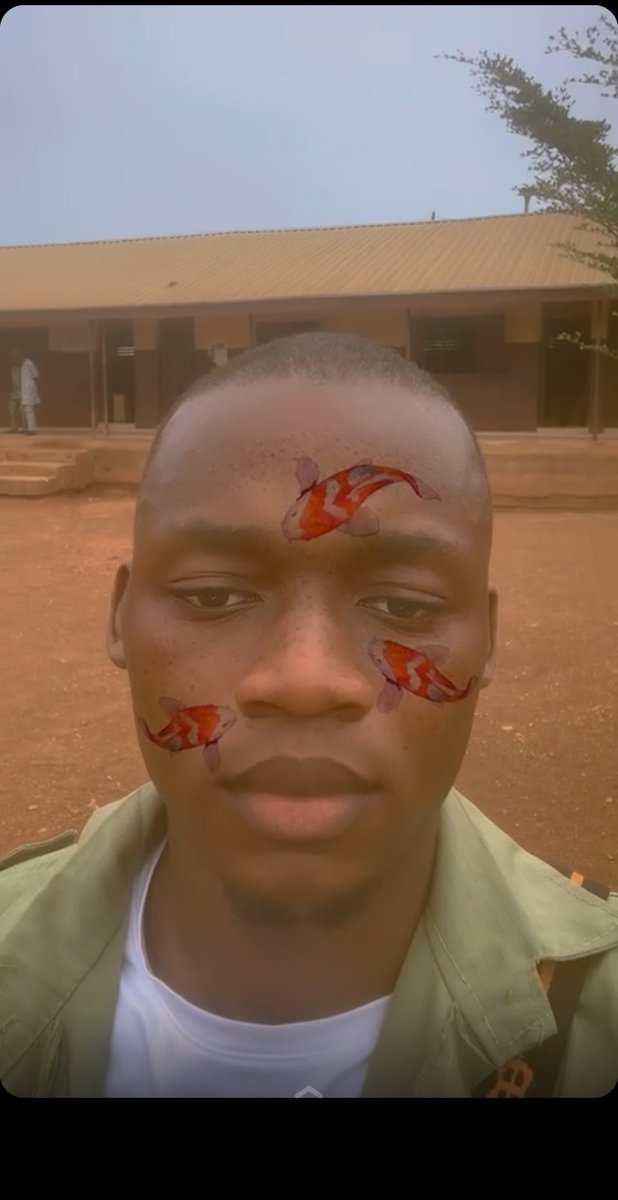 Ali Bomaye tweet media