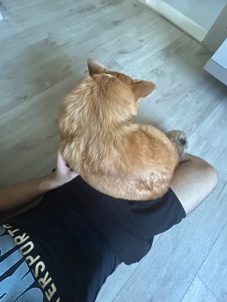 ela ainda acha que é um gato