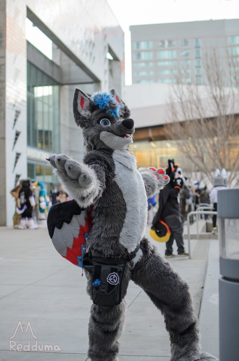What a wonderful day!
Happy #fursuitfriday !
🧵: <a href="/paciulofursuits/">Paciulo Fursuits @paciulofursuits.bsky.social</a> 
📸: <a href="/AkuaFoxxo/">✧ Redd ✧</a>