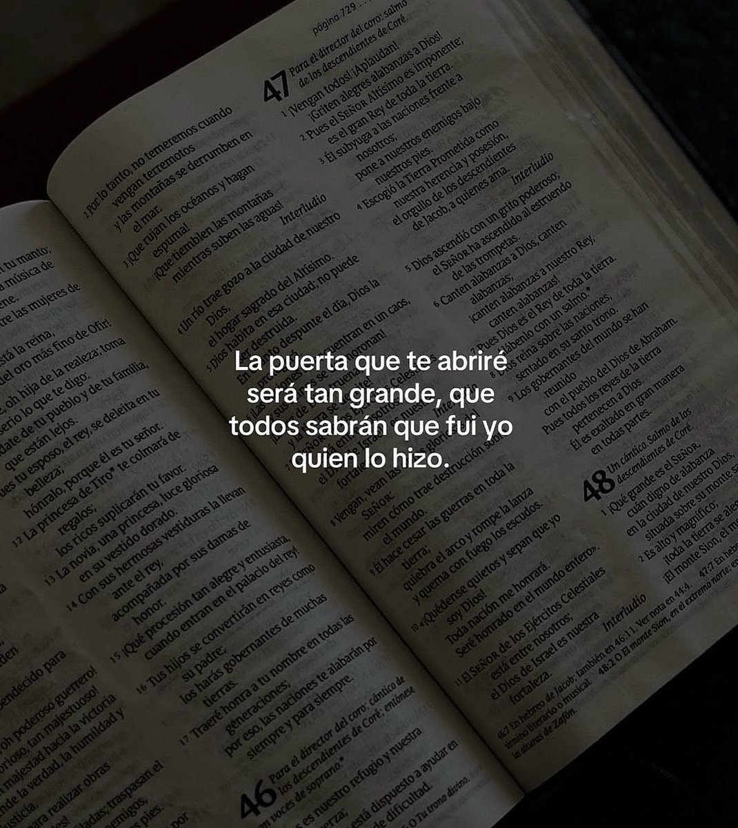 gonzabrizuela96's tweet photo. https://t.co/zXMeglOH9a