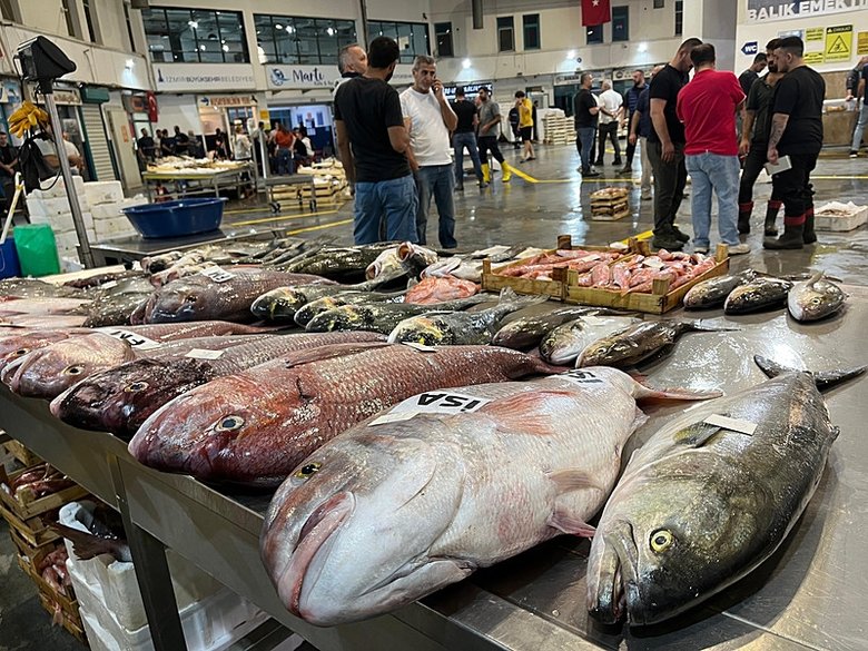 Van'da balık tüketimi iyi. Göl balığı 3 ay boyunca yasaklandı, 15 bin kişi bu sektörden ekmek yiyor. Bahçesaray'da yapılacak tesis 500 milyon dolarla ifade ediliyor. Hafta sonları tüm balık satış yerleri dolu. Şehrin görünür bir yerinde Balık Hali yapılması doğru olmaz mı?