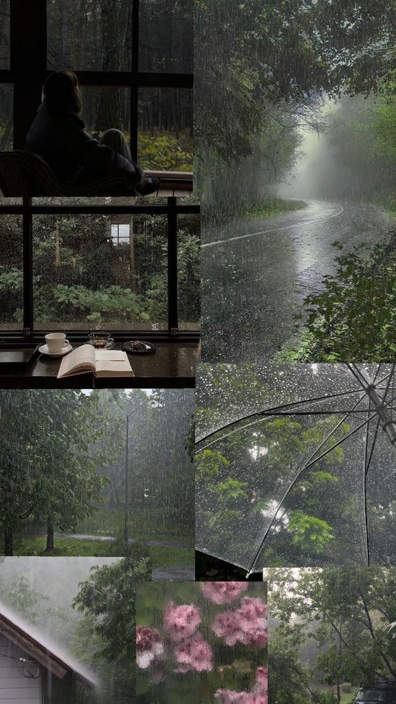 𝘯𝑎𝘵𝑢𝘳𝑒. tweet media