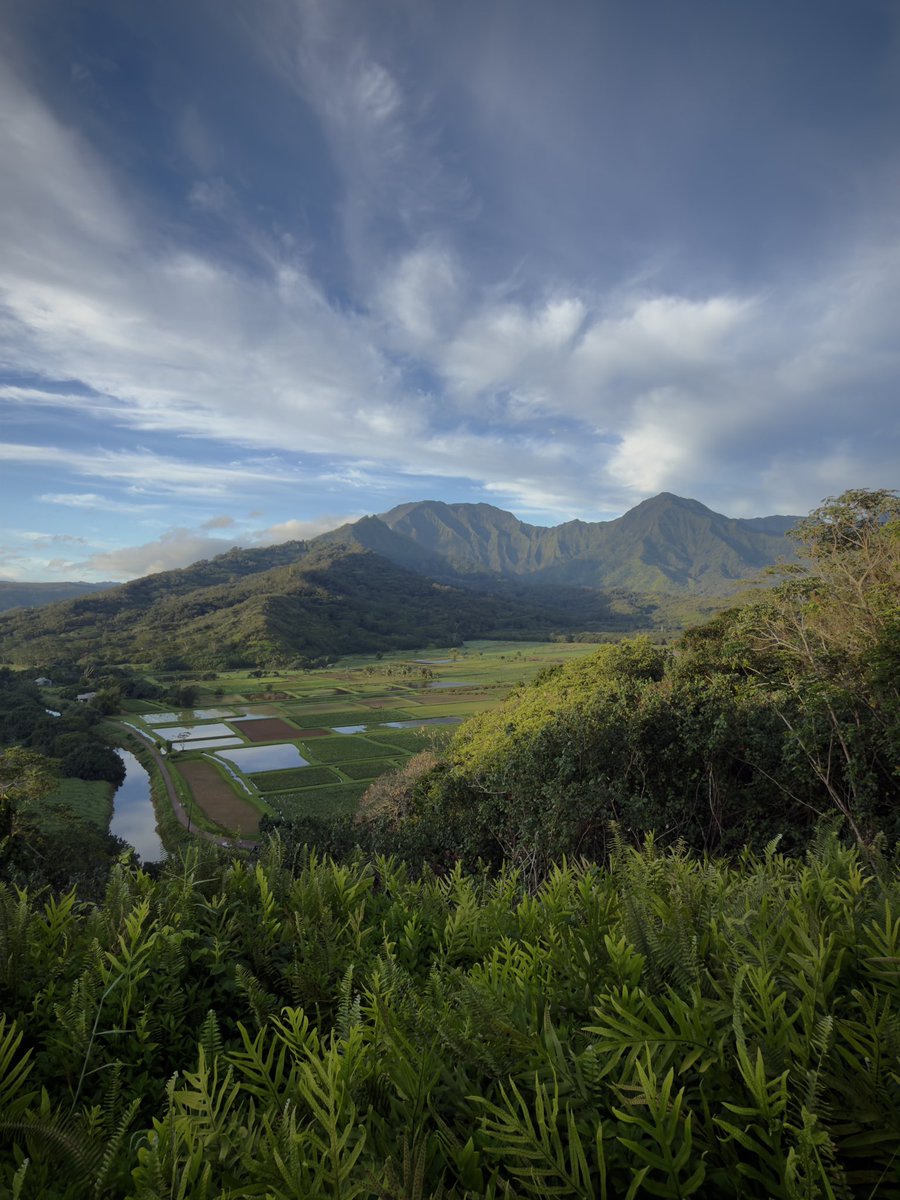 QuantumBullHQ's tweet image. A quick break from regularly scheduled programming. Here on Island for the week. These are all taken with my iPhone 17 Pro Max, processed in RAW. 

Don’t put off that vacation, YOLO! 

#hawaii #turtles