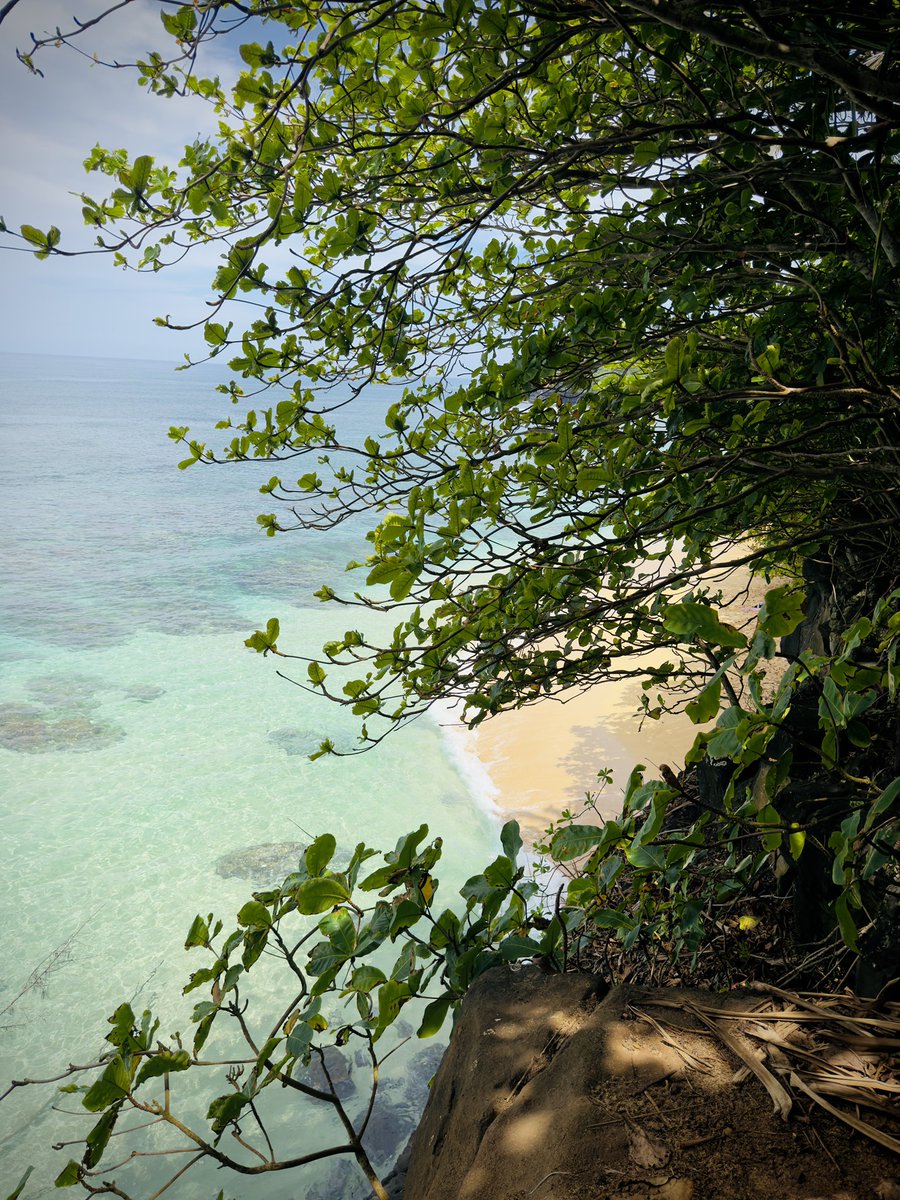 QuantumBullHQ's tweet image. A quick break from regularly scheduled programming. Here on Island for the week. These are all taken with my iPhone 17 Pro Max, processed in RAW. 

Don’t put off that vacation, YOLO! 

#hawaii #turtles