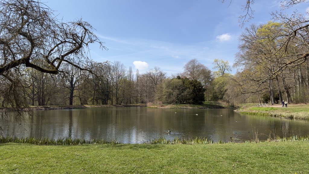 DerFlowDE's tweet photo. War diese Woche auch dank des guten Wetters einfach mal wieder ne Runde in Stadtpark unterwegs. Einfach mal raus ausm Büro und rein in die Natur. Ist ja vor der Bürotür. #Forst #Stadtpark #Parkteich #photography https://t.co/gyd6UHtouH