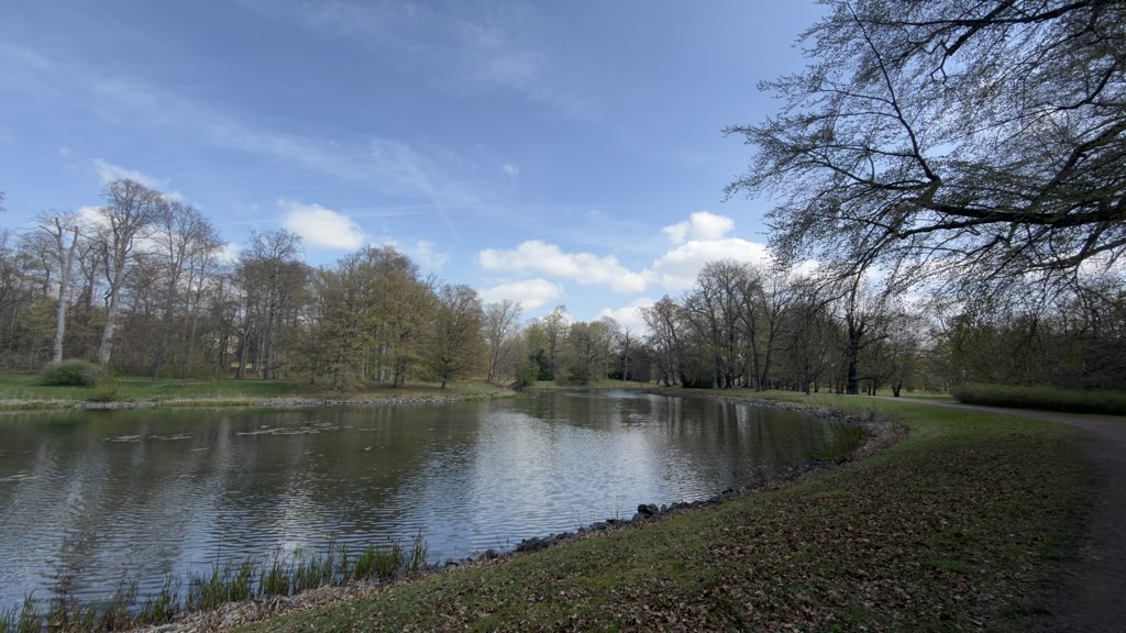 DerFlowDE's tweet photo. War diese Woche auch dank des guten Wetters einfach mal wieder ne Runde in Stadtpark unterwegs. Einfach mal raus ausm Büro und rein in die Natur. Ist ja vor der Bürotür. #Forst #Stadtpark #Parkteich #photography https://t.co/gyd6UHtouH