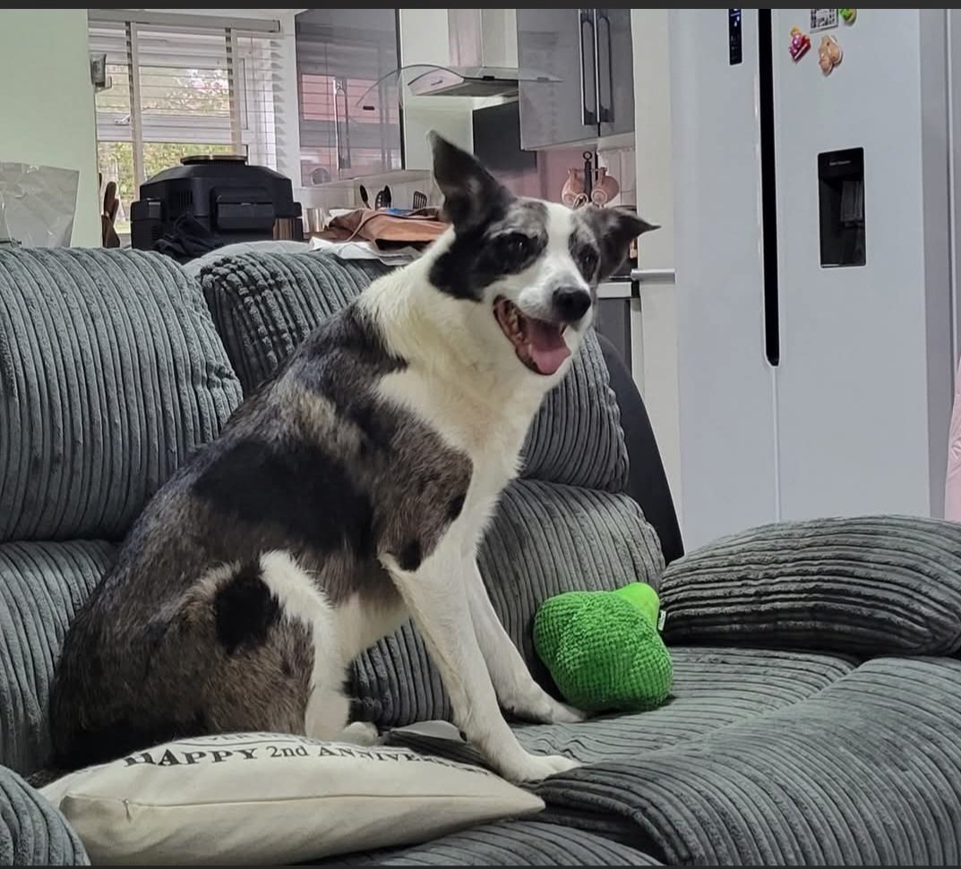 chris towers tweet media