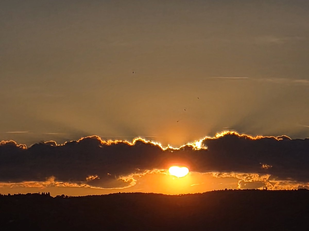 Salim029713202's tweet image. #photo perso 📸