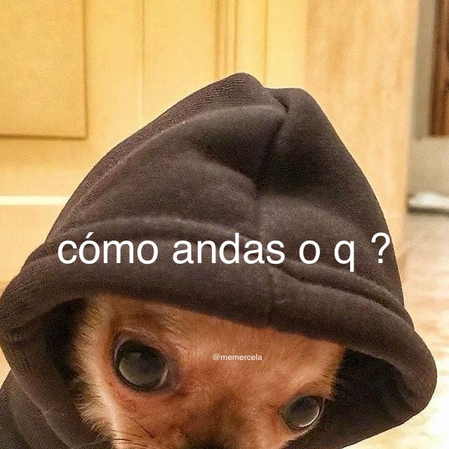 Maestre Mapaxito tweet media