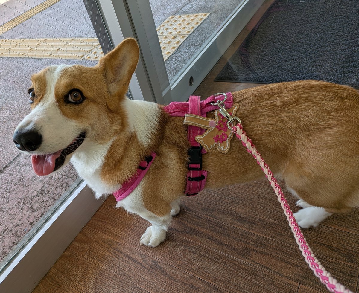 もなか🍞 tweet media