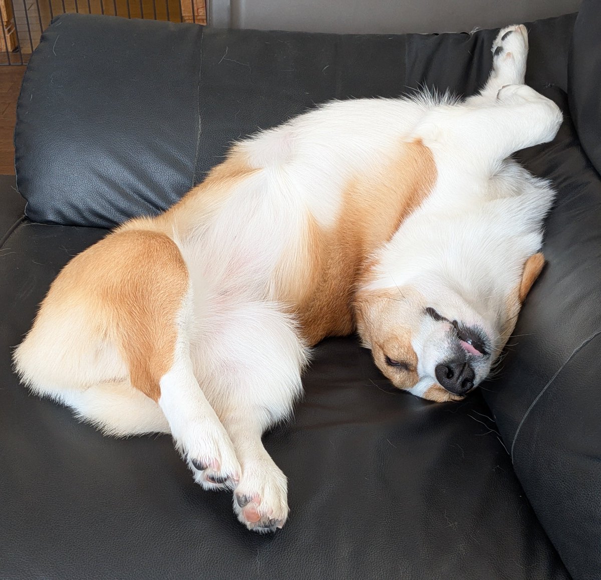 もなか🍞 tweet media