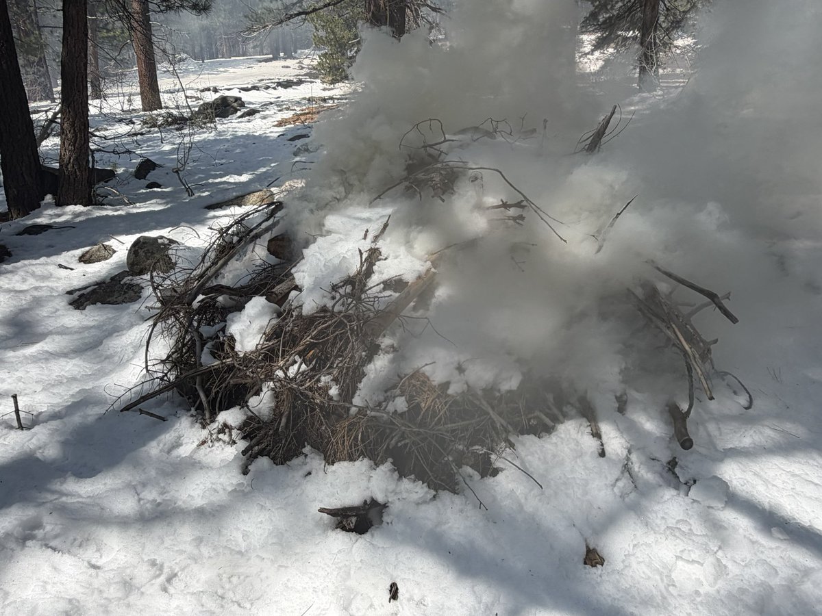 Humboldt Toiyabe NF tweet media