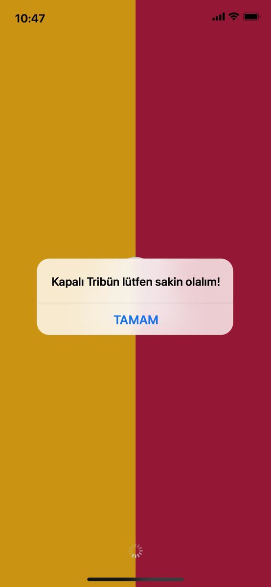 Mert⚡️ tweet media