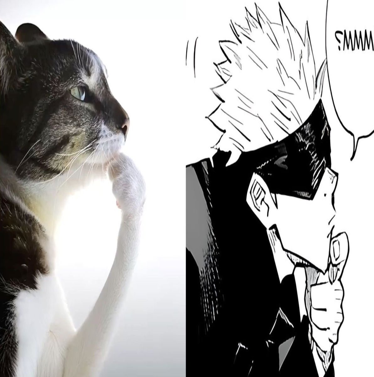 hopiecakes's tweet image. should i drop $60 on tomodachii life or olivia merch.. #thinking #pondering