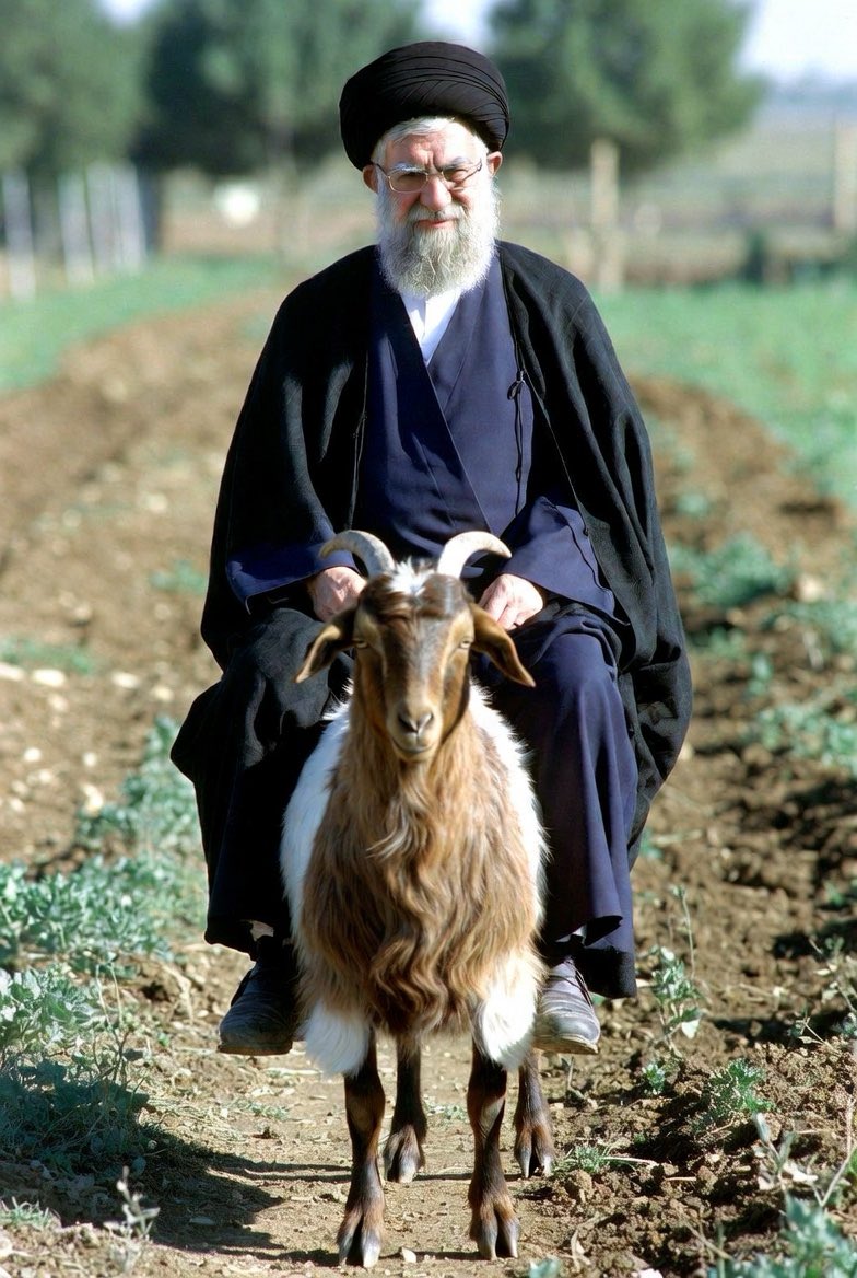 Dale Barker tweet media