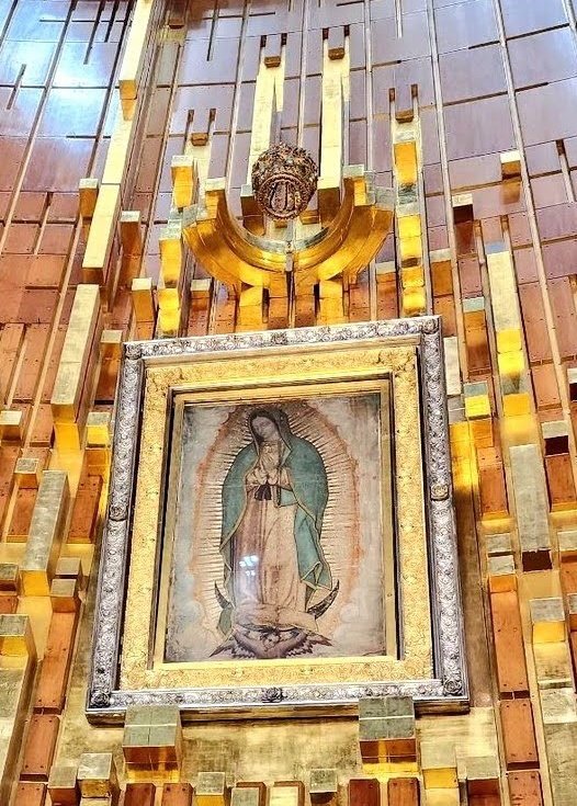 FE y más FE tweet media