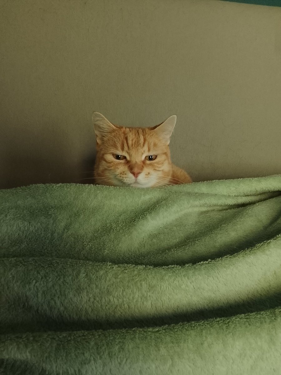 HornyBored🏺 | DM CLOSED tweet media