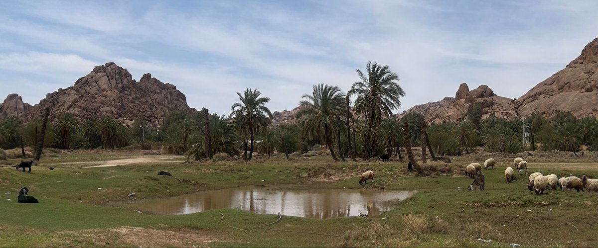 salmaaljal's tweet photo. يا نسمة الوادي.. يا وردة في بلادي
حائل ربى الشادي
🌴🌴 https://t.co/mSFWvzCfk7