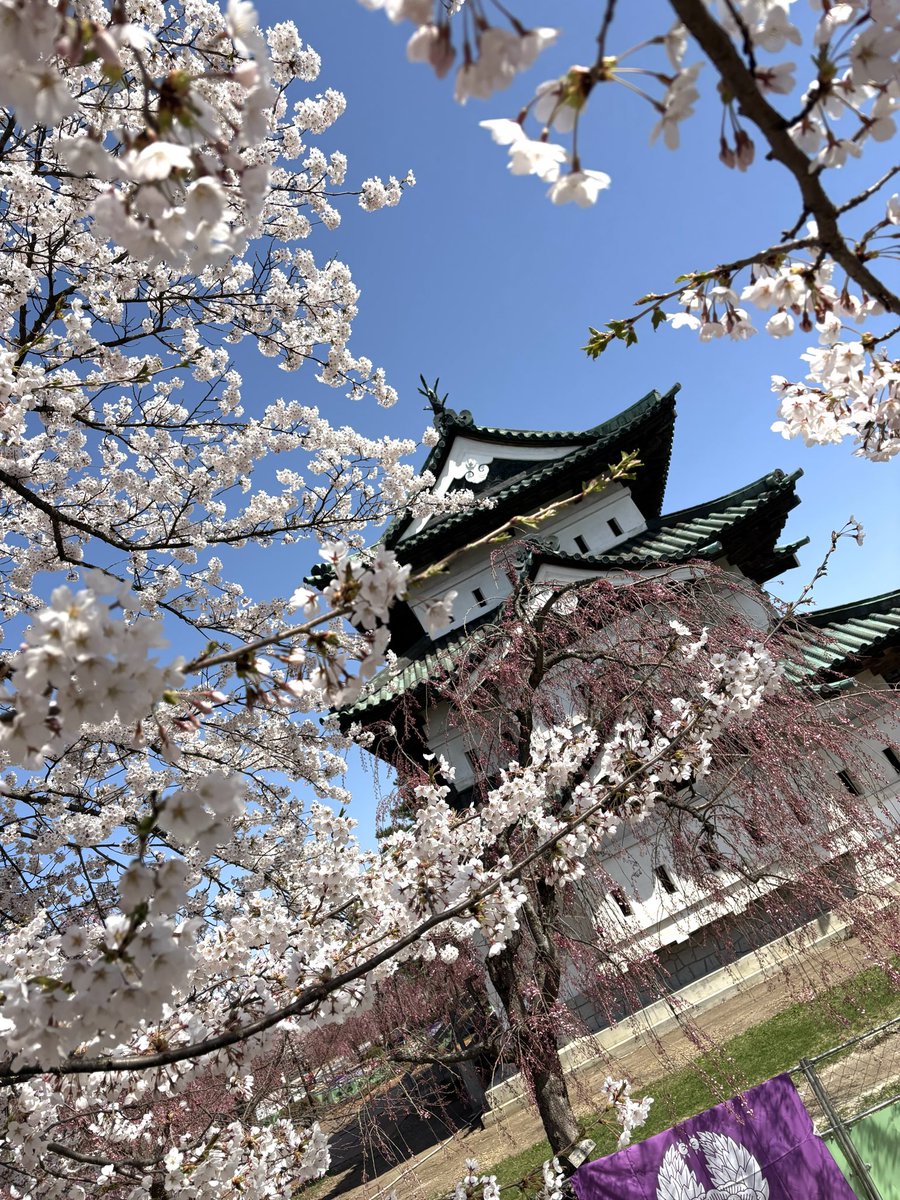 Naganuma tweet media