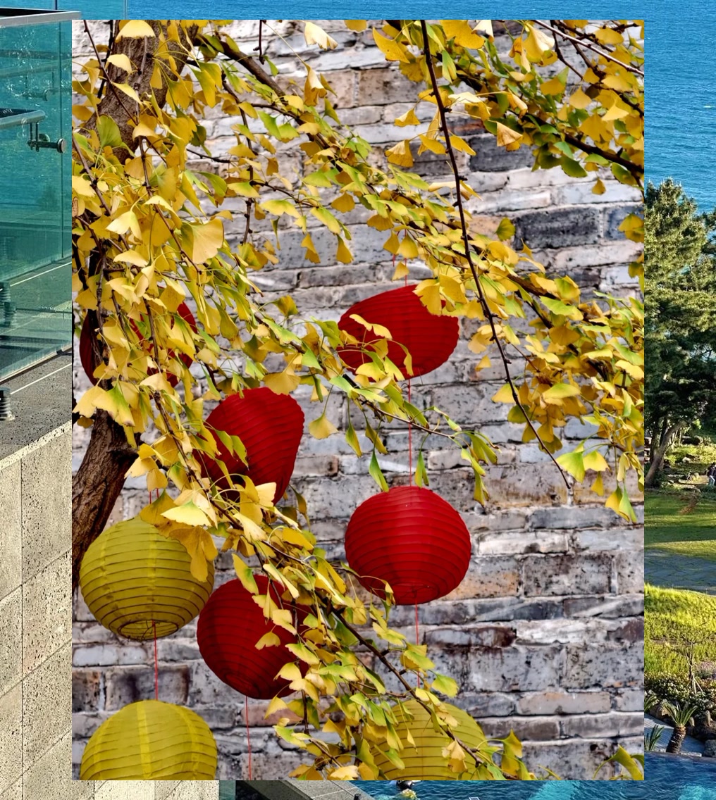 Sandy Adams tweet media