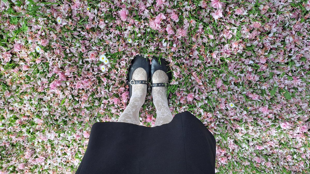 In my cherry blossom era