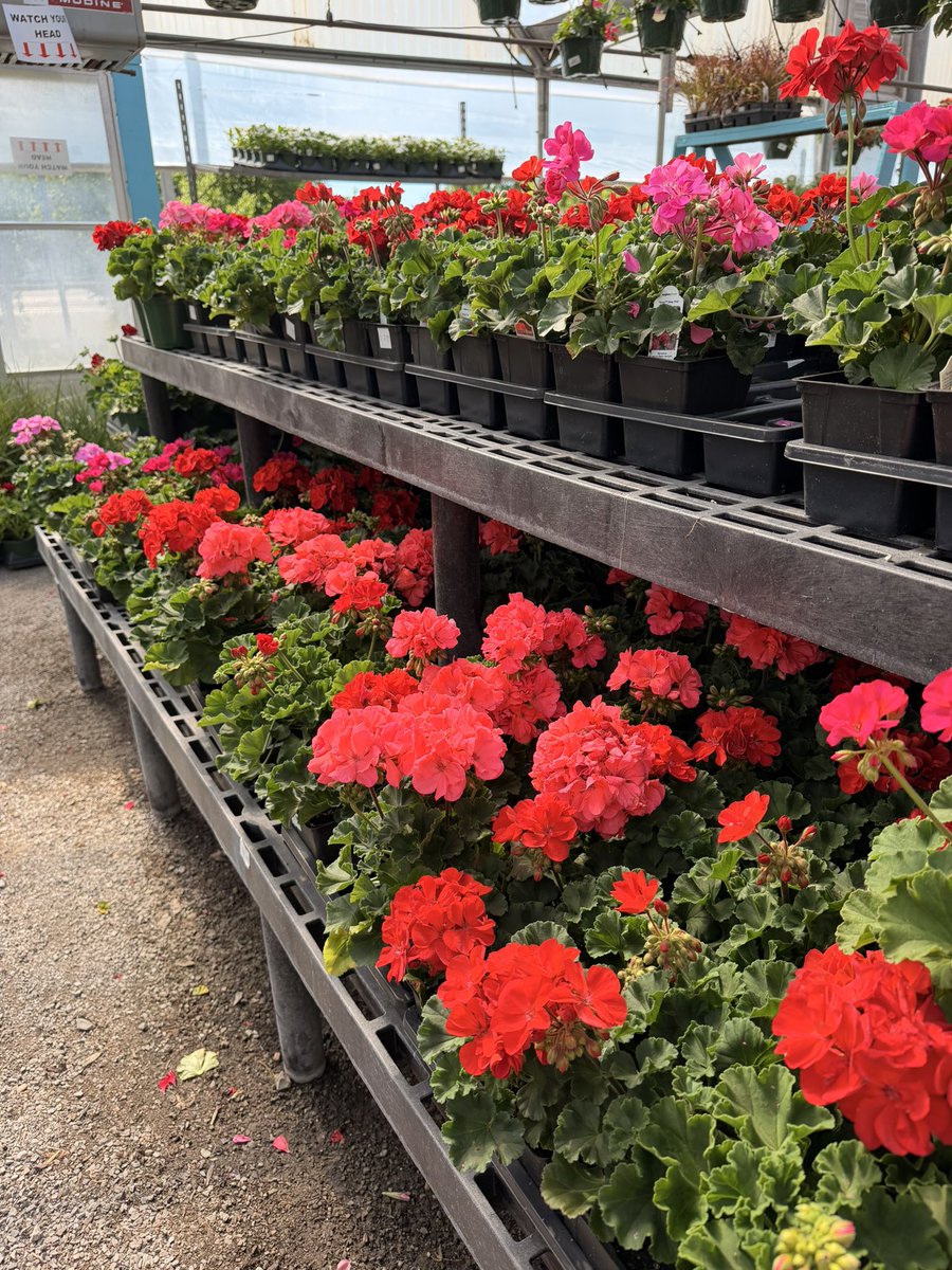 Anderson Co. Chamber tweet media