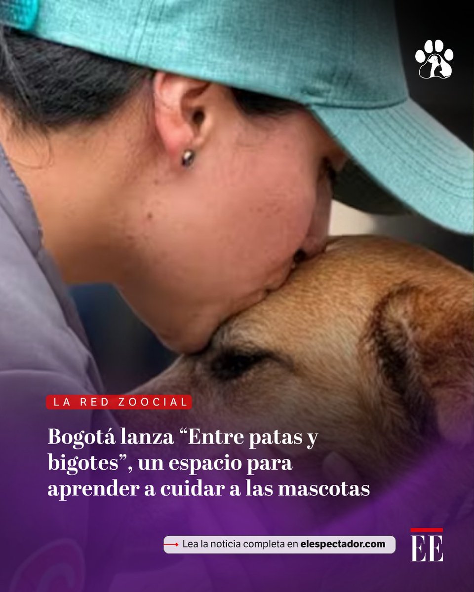 La Alcaldía de Bogotá lanzó un nuevo espacio digital con contenidos prácticos y pedagógicos para promover la tenencia responsable y mejorar la convivencia con animales de compañía en la ciudad. Lea más 👉trib.al/DwCkmpz