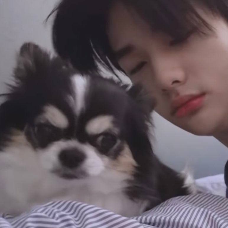 linosaurus🍮˚୨୧⋆｡˚ ⋆ tweet media