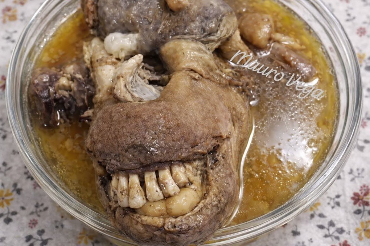 🇲🇽 México Mágico ✨ tweet media