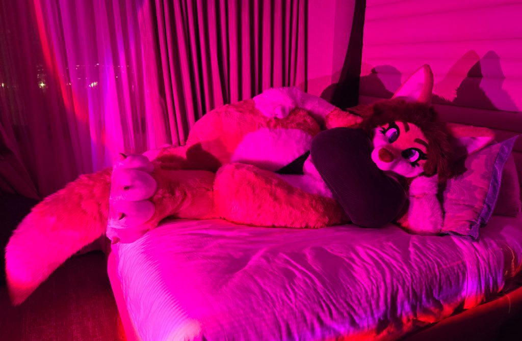 ConnieTheFox's tweet image. "Care to join me for some cuddles?"
#fursuitfriday #cuddles #cute