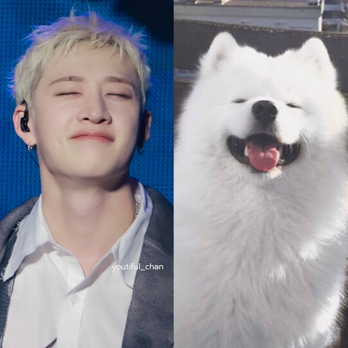 유티풀찬 tweet media