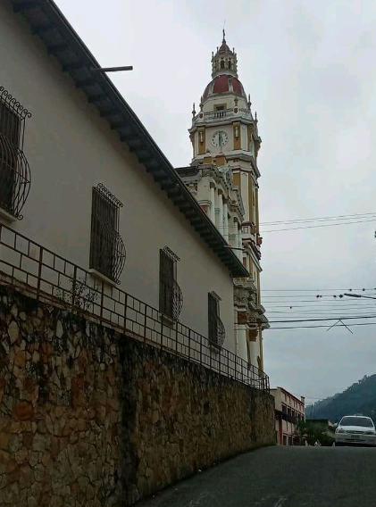 Venezuelensis Andium Venustas Aesthetics tweet media