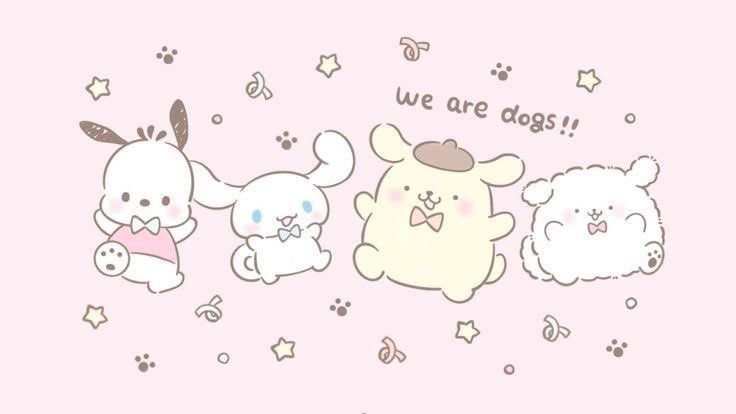 sanrio daily ୨ৎ tweet media