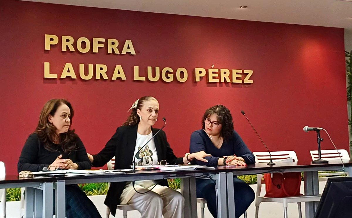 MayeRosanoReyes's tweet photo. 📄💼Con el propósito de avanzar en la profesionalización de las personas consejeras; Diana Castillo Ramírez, enlace de la #UEEPCI de la Secretaría de @Contraloria_Hgo, impartió una sensibilización en materia de #ProtocoloCero.
#CEPCI #SEPH #IHE https://t.co/F6L0zwclFV