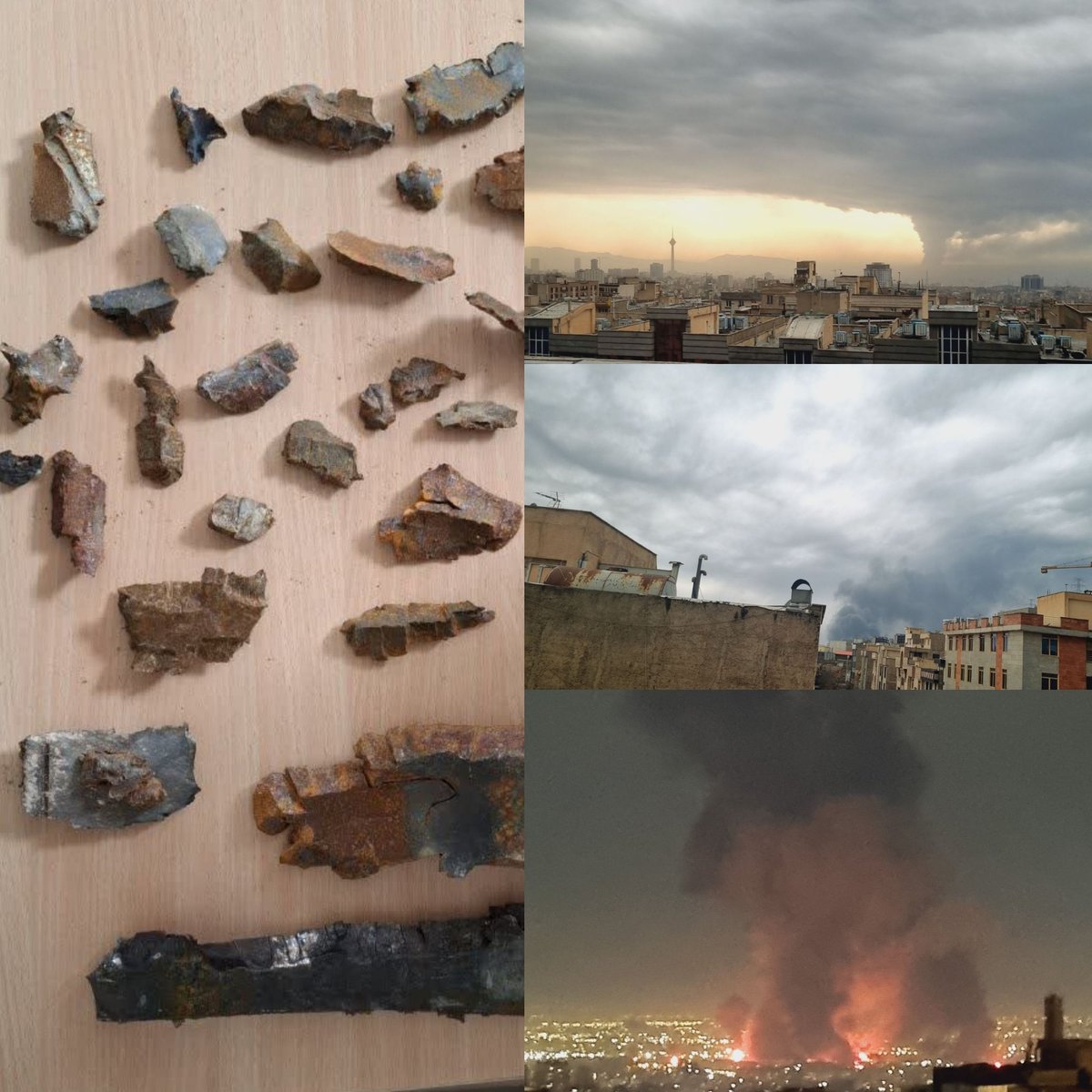 شوکا🇮🇷 tweet media