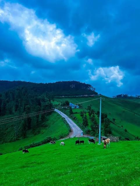 Typical African tweet media