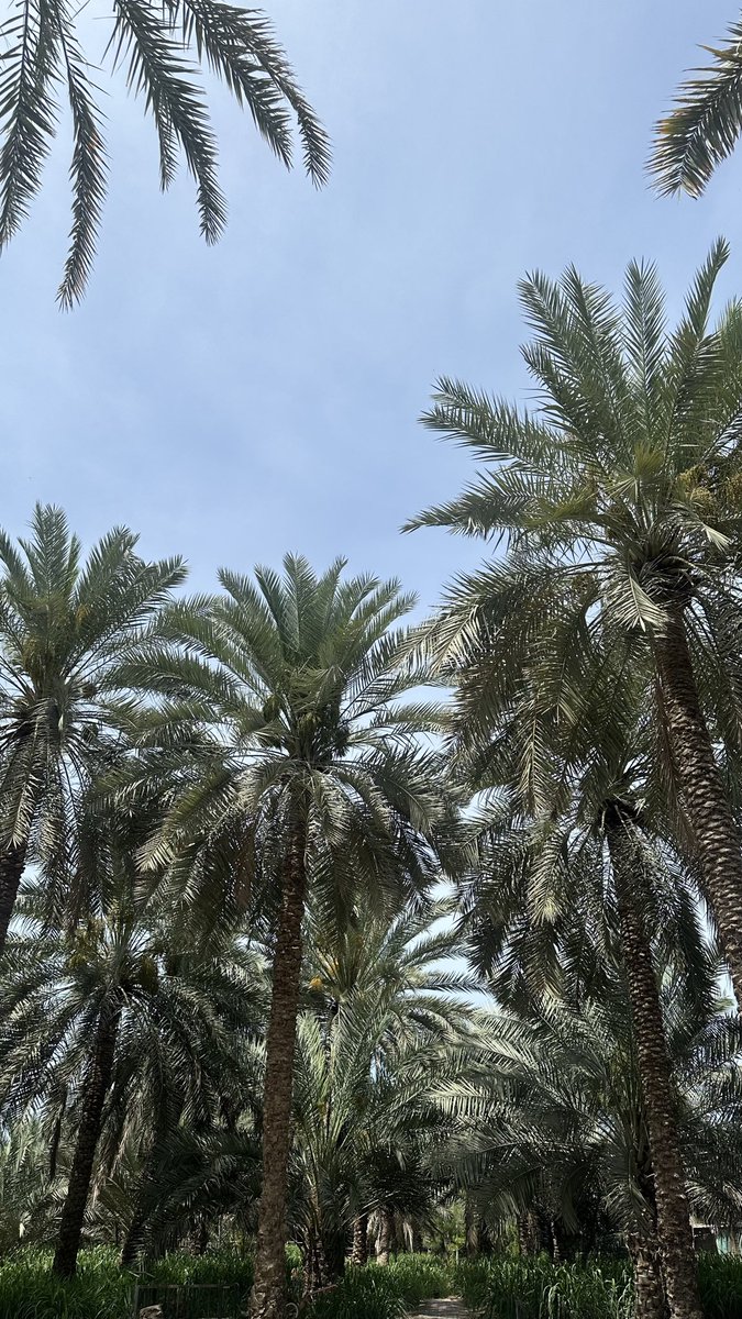 3buwu's tweet photo. يوم الجمعة لو كان له شـكل 🩵 https://t.co/IdNwFNcwnp