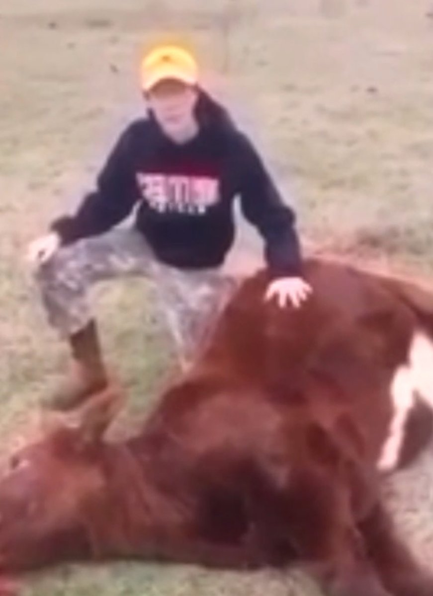 Mike Roch tweet media