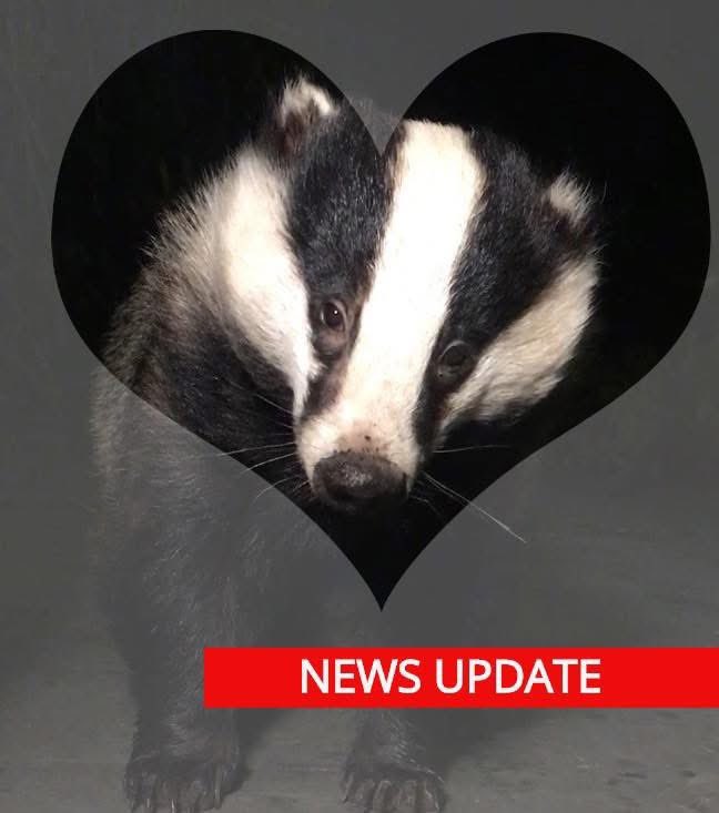 Mr Lumpy & Friends tweet media