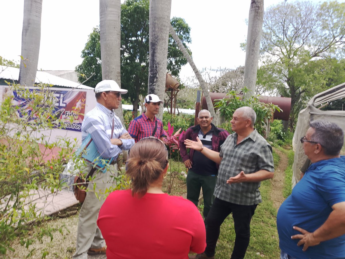 Migdali83373126's tweet photo. Chequea el Gobernador @ManolihaHolguin la producción de alimentos en la Empresa Wuilfredo Peña junto al Parque Científico de #HolguinSi
En desarrollo Proyectos de Acuaponía en función de la población asociados a la producción de hortalizas.
#HonorHolguinero
@QueipoRuiz
@YuniaPrez https://t.co/qbYGY6145Q