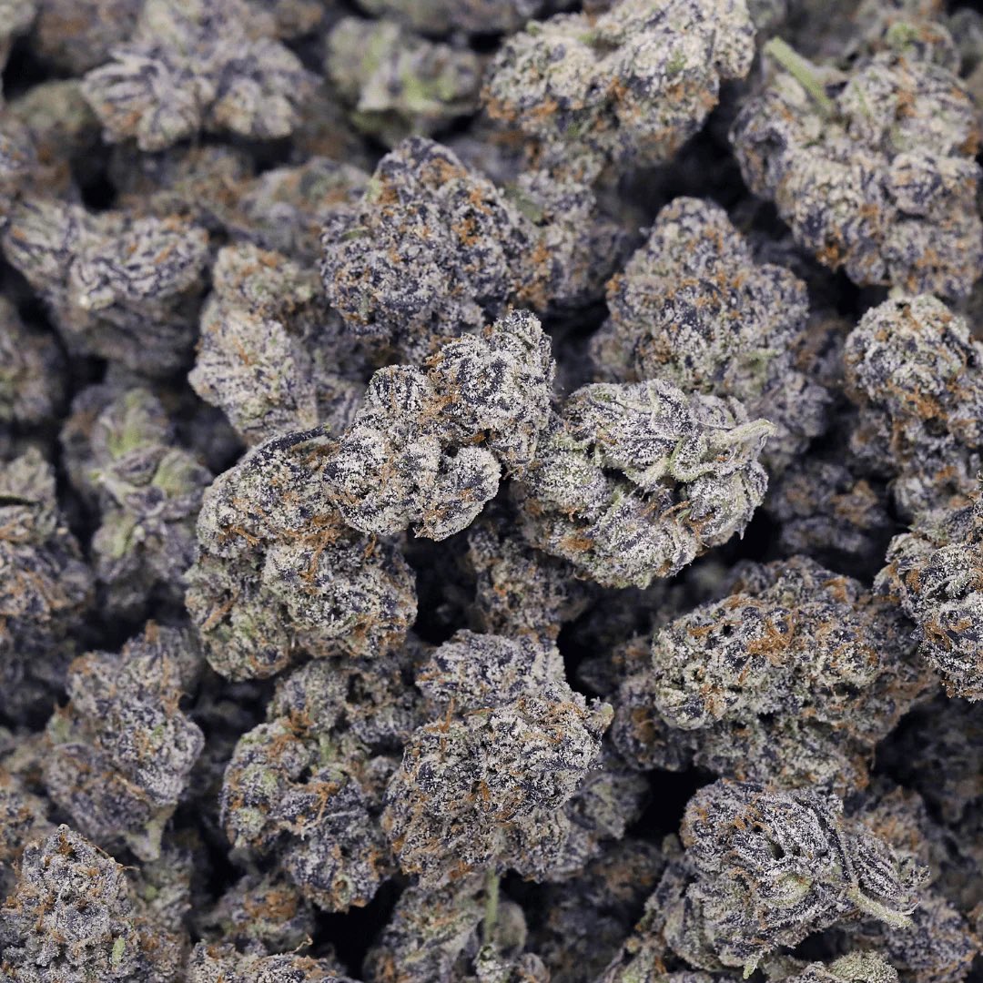 MagicGod tweet media