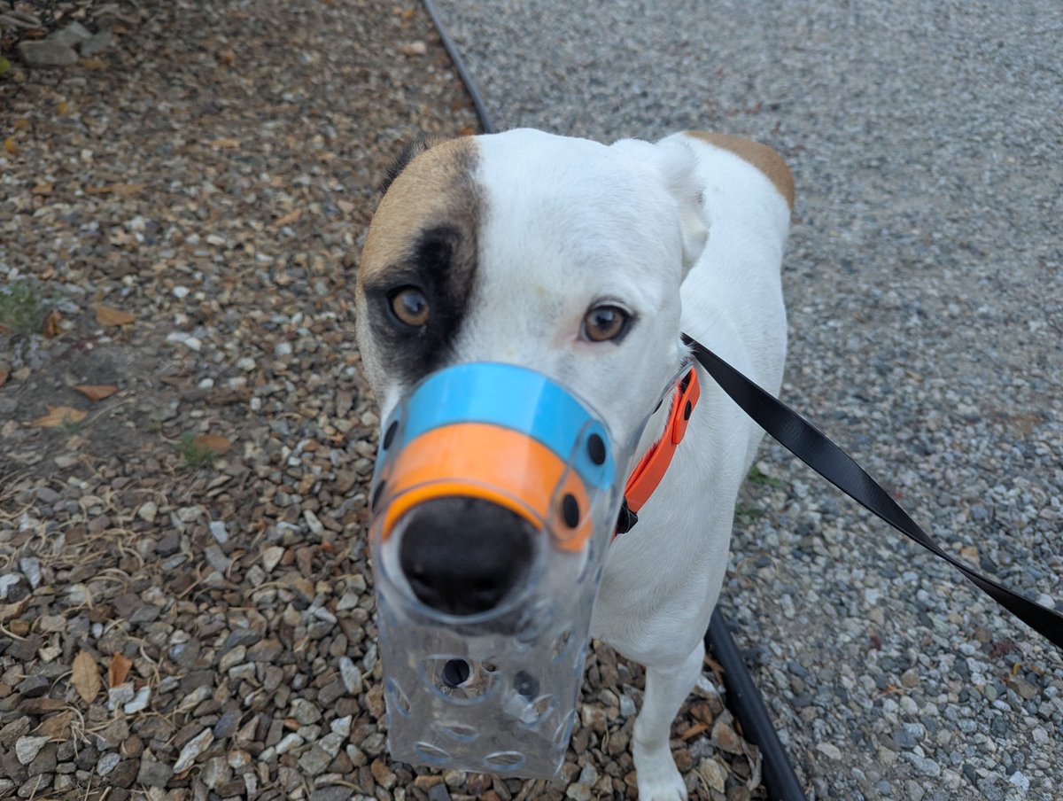 Eriko Sakaki tweet media