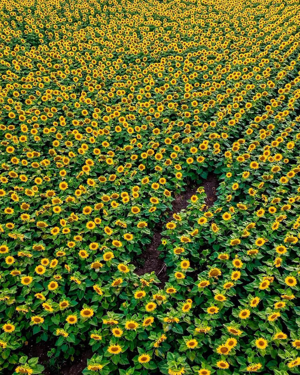 A thousand Suns. Bhakkar, Pakistan.