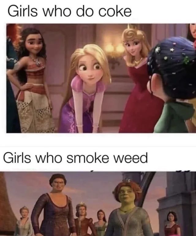 things that i smoke weed to tweet media