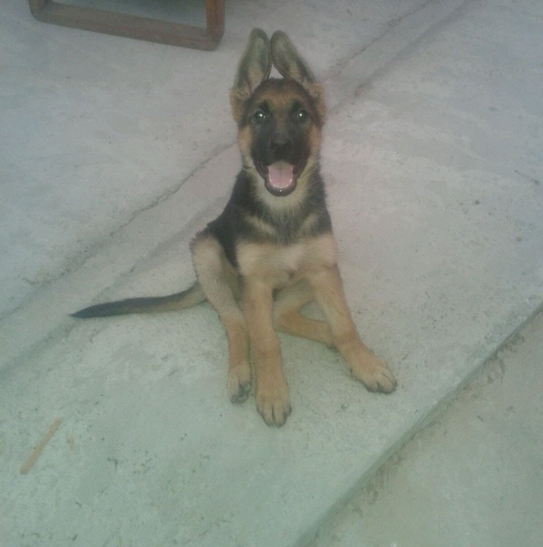 vera ⚢ tweet media