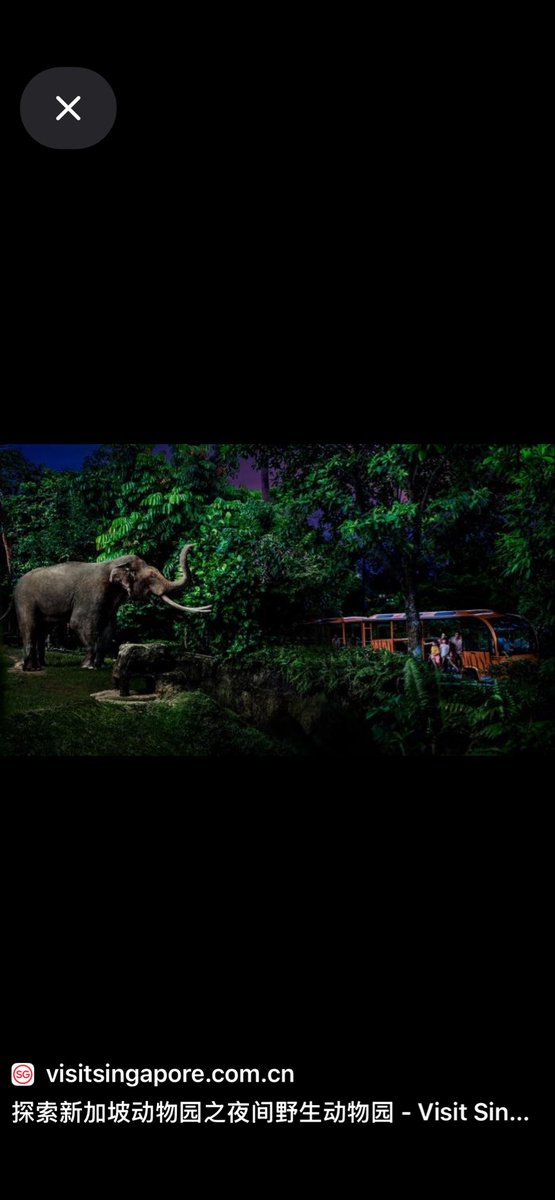 BADR.ALSAIF tweet media