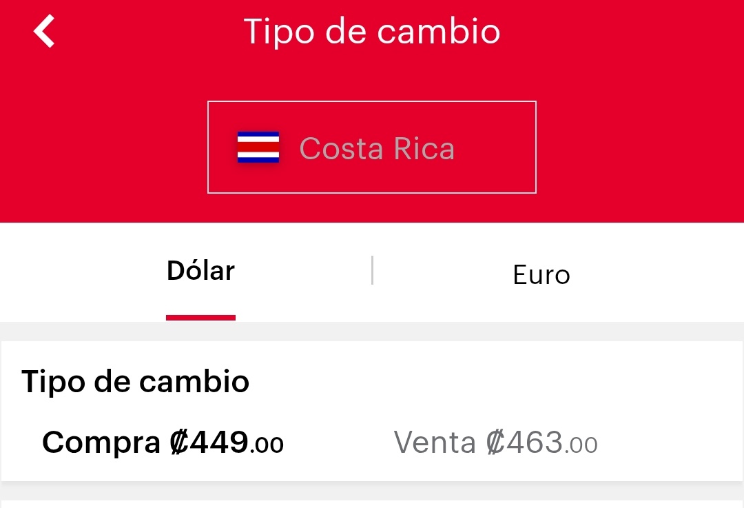 🌸 🦩 tweet media