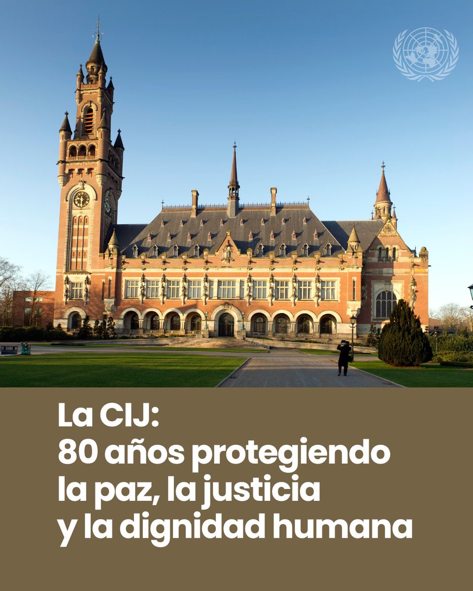 Naciones Unidas tweet media