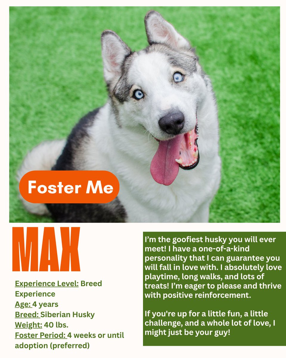 PHS/SPCA tweet media